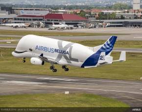 Airbus: il BelugaXL riceve la certificazione di tipo Easa