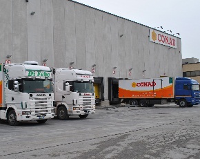 Logistica: Conad Ariatico sceglie la piattaforma Mercareon