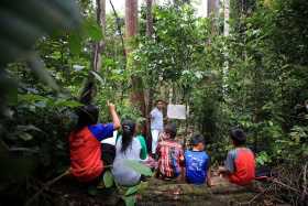 Favorire la produzione di gomma naturale tutelando la biodiversità e le comunità locali: Pirelli e Bmw per la salvaguardia dell’ecosistema naturale in Indonesia