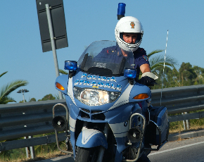 Trasporto animali vivi: task force della Polstrada in tutta Italia