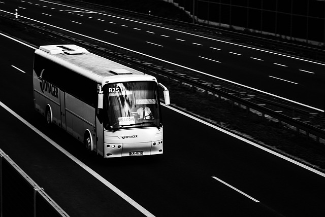 Piemonte: sicurezza nei trasporti scolastici, i risultati dei controlli della Polstrada