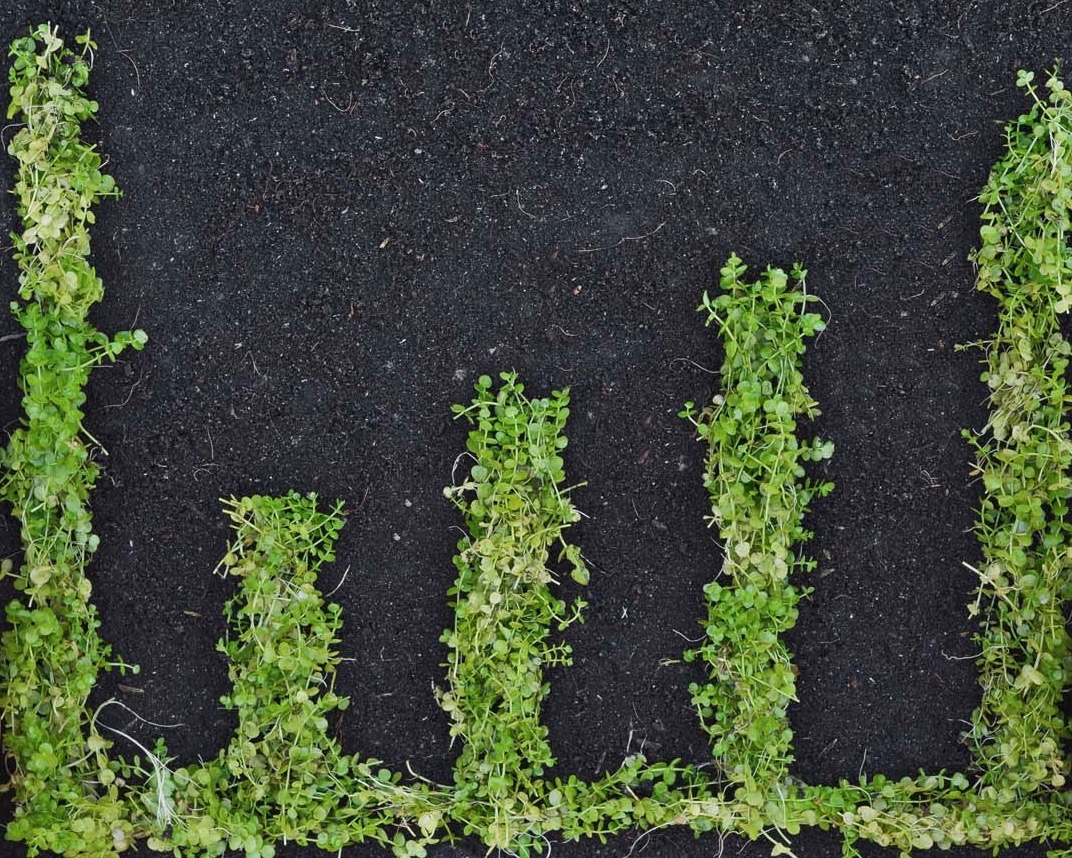 Emissioni Co2: con il metano per autotrazione risparmiati 1,9 miliardi di euro nel 2016