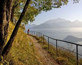 Trenord: le proposte treno+trekking in Lombardia