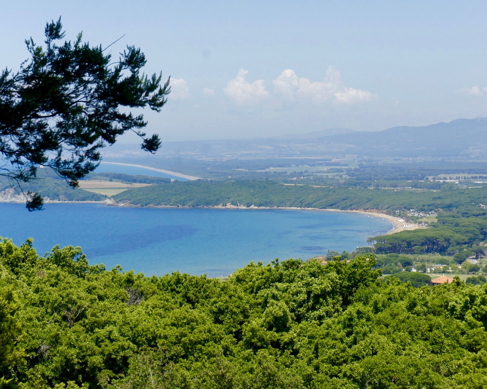 Toscana: al via un progetto per creare una Zona Logistica Semplificata sulla costa