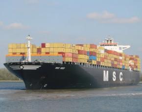 Assicurare i commerci rispettando le specie marine: Msc modifica le rotte