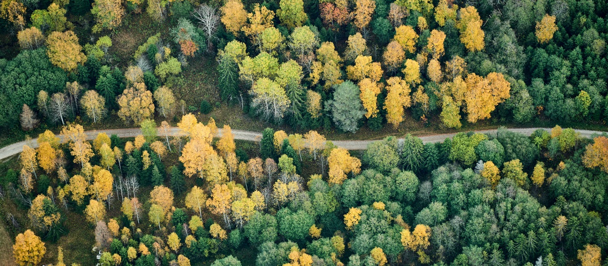 Sostenibilità: il 20 settembre Climate Day per i dipendenti Scania