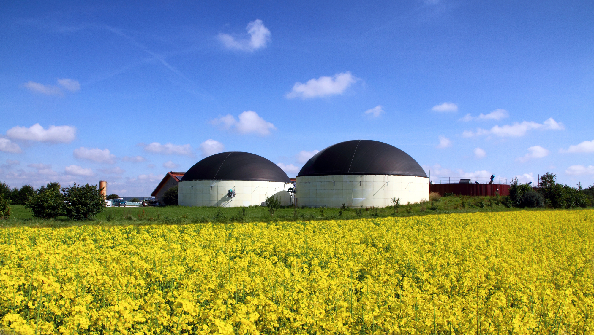 Biogas Italy 2023: appuntamento a Roma mercoledì 8 e giovedì 9 marzo 2023