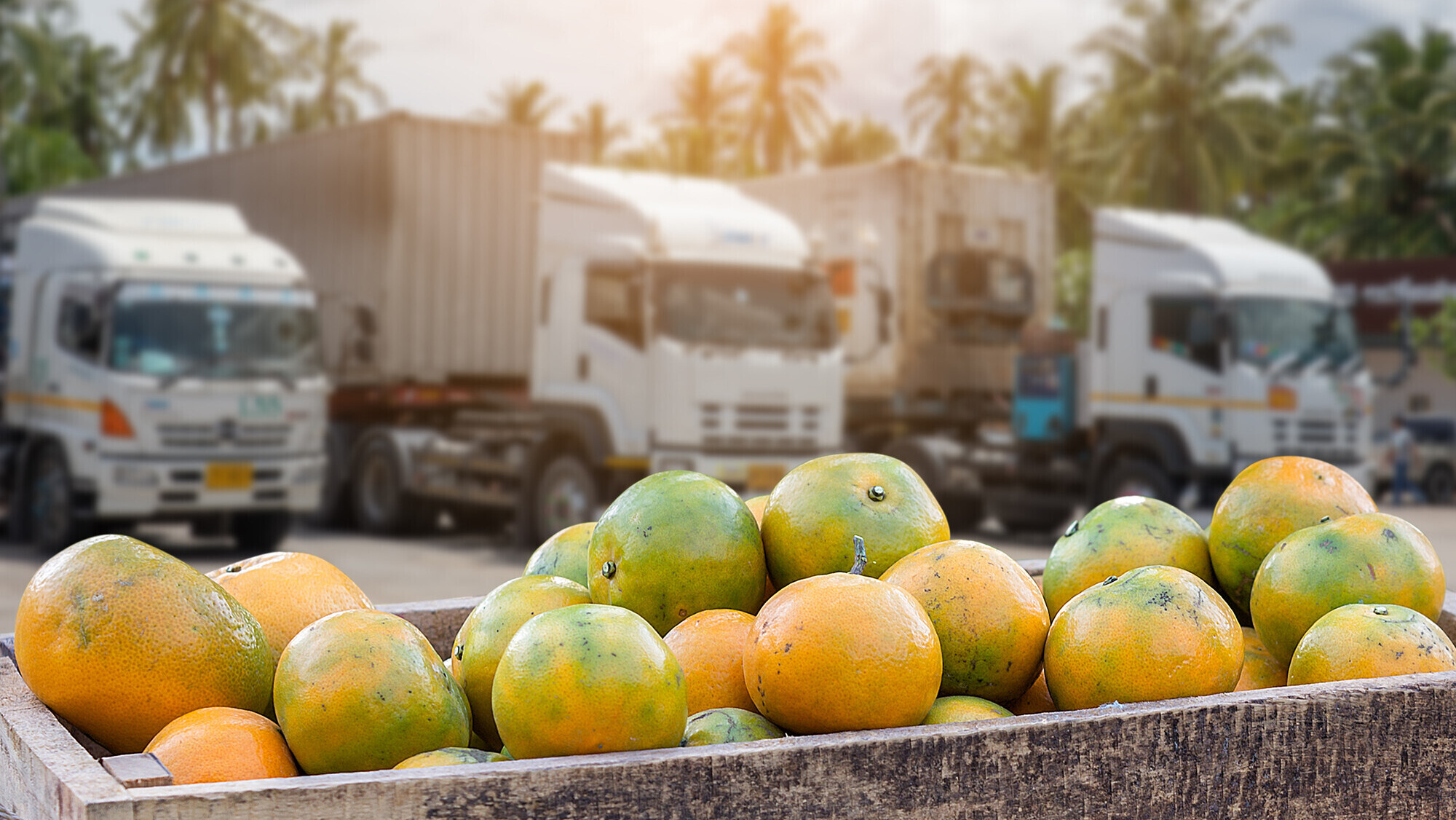 Fruit Logistica 2023: appuntamento a Berlino dall’8 al 10 febbraio per la filiera ortofrutticola