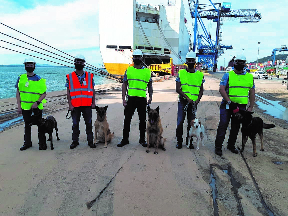 Droga. Equipaggio Grimaldi scopre e fa arrestare un trafficante