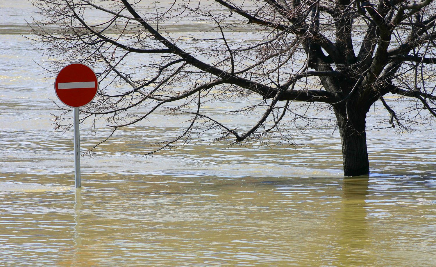 Dramma maltempo in Emilia Romagna. Morti, dispersi, inondazioni e strade chiuse
