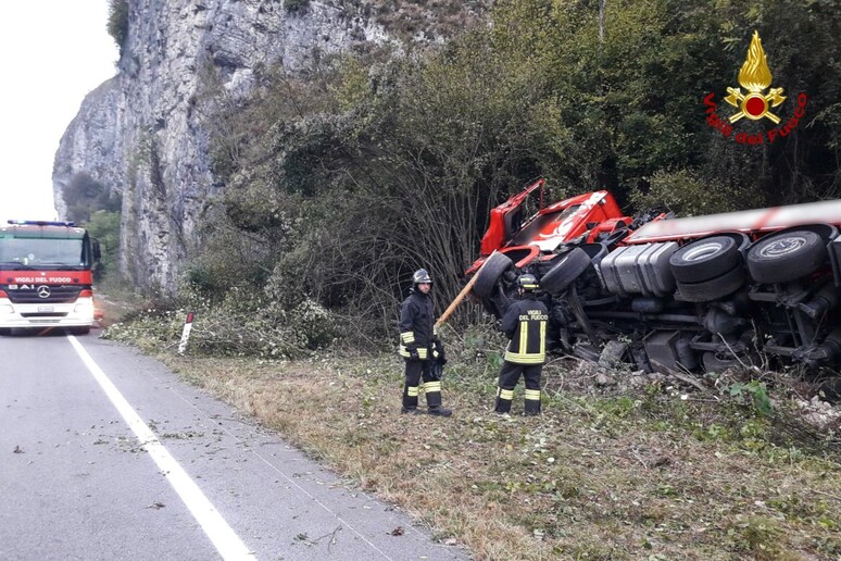 Scontro fatale tra cervo e camion in provincia di Belluno