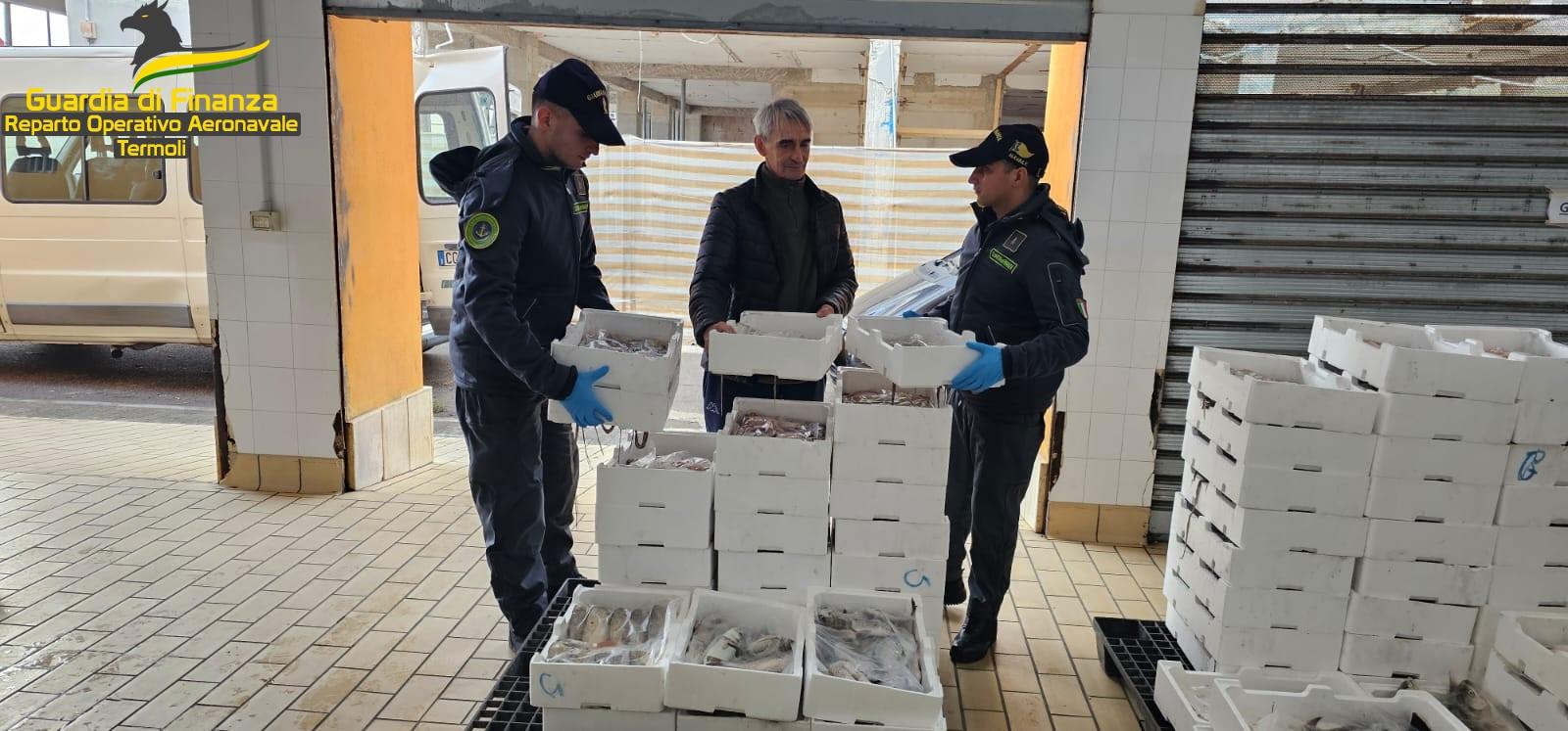 Trasportava 700 chili di pesce non tracciato. Il pescato donato in beneficenza e l’autista multato