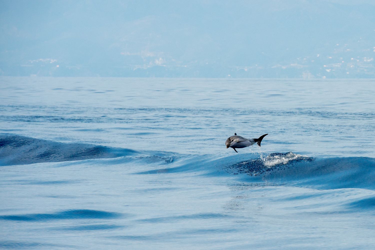 Cisterna di acido solforico cade nel Mar Ligure