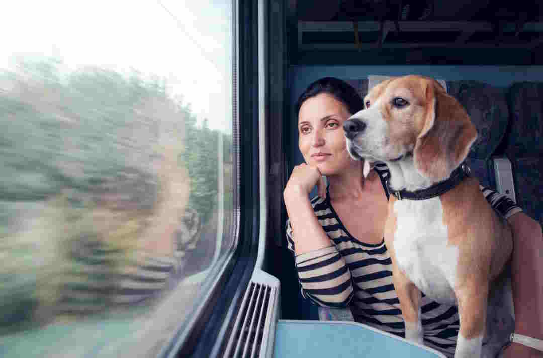 Lombardia: sui treni regionali Trenord animali domestici e bici viaggiano gratis