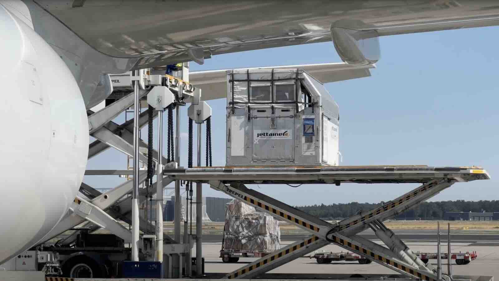 Trasporto animali vivi sui voli aerei, nuovo portale normative IATA